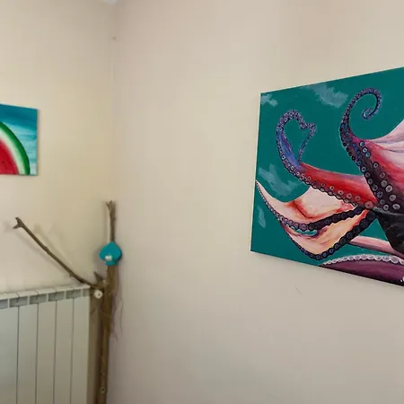 Noa & Dan * Копер