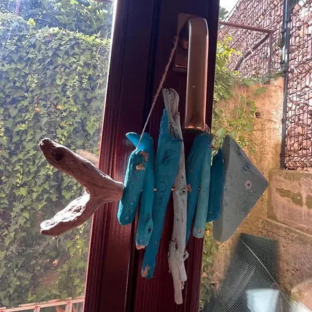 Noa & Dan * Копер