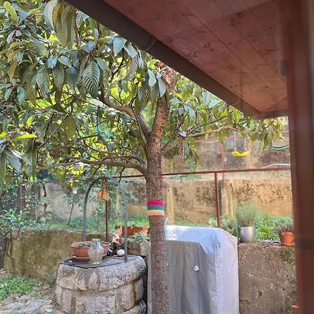 Noa & Dan * 코페르