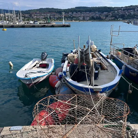 Noa & Dan Копер