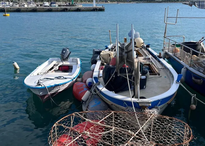 Noa & Dan Κόπερ